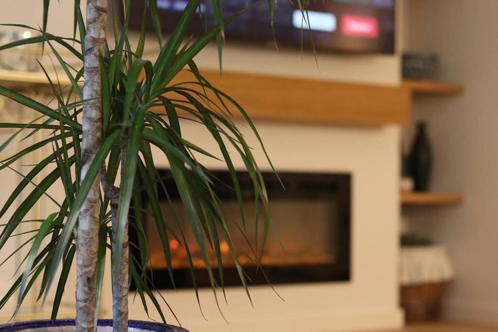 Lc Apartaments Voramar 贝尼卡西姆 外观 照片
