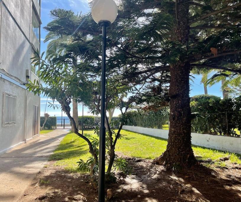 Lc Apartaments Voramar 贝尼卡西姆 外观 照片